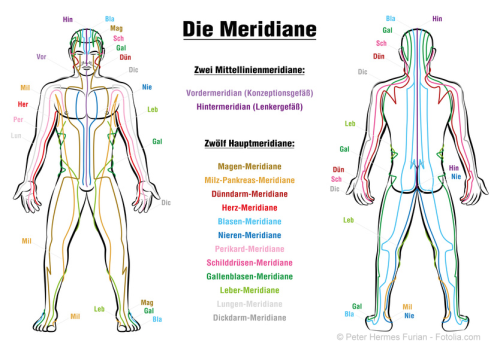 ME COMPLETE Lebensenergie-Globuli nach Masaru EMOTO. Sonnenherz - energetische & feinstoffliche Globuli in Violettglasflasche